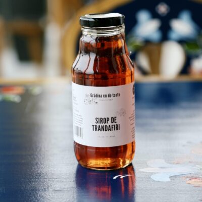 SIROP DE TRANDAFIRI-VESEUD